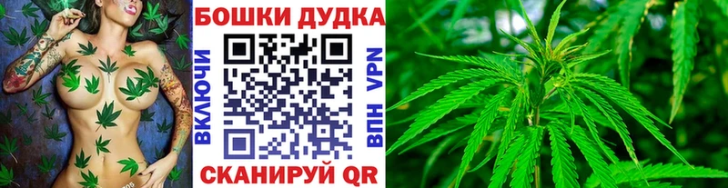Конопля конопля  хочу наркоту  Салаир 